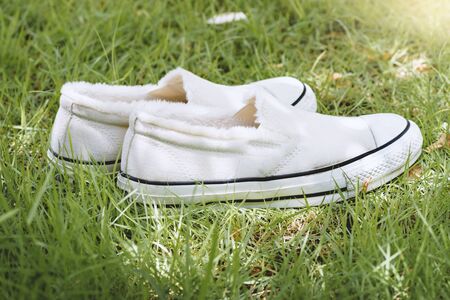 white women sneakers without laces in the gardenの写真素材