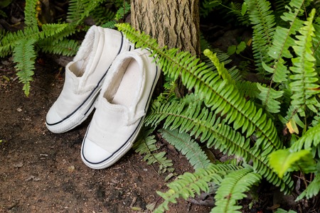 white women sneakers without laces in the gardenの写真素材