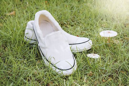 white women sneakers without laces in the gardenの写真素材