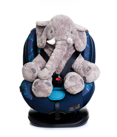 cute elephant doll in blue child safety seat over white background, seat designed specifically to protect children from injury or death during collisions.の写真素材