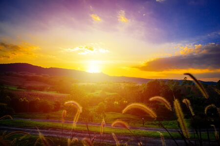 Beautiful sunset with the mountain view at Khaoyai, Thailand.の写真素材
