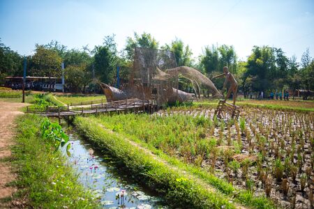 NAKHON RATCHASIMA, THAILAND - JANUARY 05, 2018: Rice field in front of Isan Village zone in Jim Thompson Farm. Jim Thompson Farm is open only from the end of December until the beginning of January.のeditorial素材