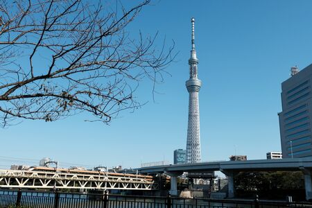 TOKYO, JAPAN - OCTOBER 21, 2018: Tokyo Skytree the world's tallest tower at 634 meters, located in...