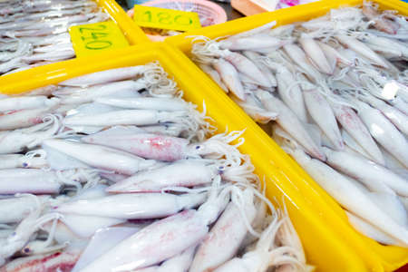 Fresh raw squid for sale in the local market in Thailand.の写真素材