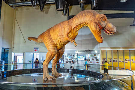 KALASIN, THAILAND - JULY 28, 2019: Siamotyrannus Isanensis sculpture display at Sirindhorn Museum, a geology museum in Sahatsakhan district, Kalasin province.のeditorial素材