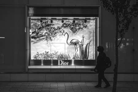 TOKYO, JAPAN - NOVEMBER 06, 2019: Christian Dior boutique display windows at Christian Dior building...
