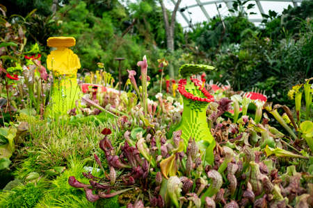 SINGAPORE - MAY 11, 2019: Decorations on the top of Cloud Mountain in Cloud Forest Dome at Gardens by the bay.のeditorial素材