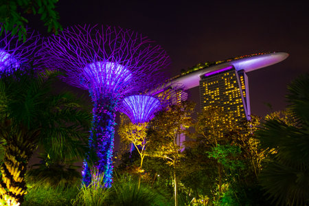 SINGAPORE - MAY 11, 2019: Beautiful Supertree Grove in Garden by the bay at night with light illuminated.のeditorial素材