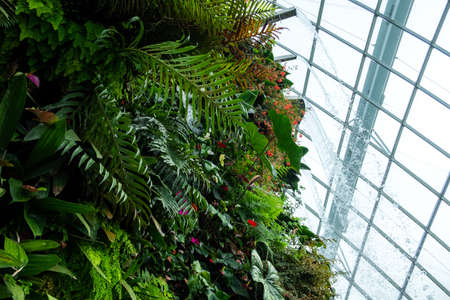 SINGAPORE - MAY 11, 2019: The Cloud Forest Dome, withのeditorial素材