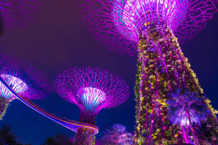 SINGAPORE - MAY 11, 2019: Beautiful Supertree Grove in Garden by the bay at night with light illuminated.のeditorial素材