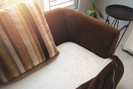 Mould under upholstery on the old sofa.