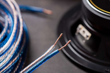 High quality transparent speaker wire with speaker in the background.