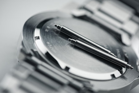 Closeup the srping bars, the little bars used to hold watch straps in place.の写真素材