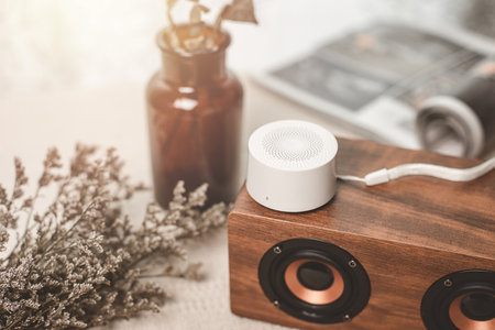 Relaxing concept, Close up portable speaker for music listening on the desk with dried flowers.の写真素材
