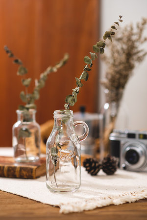 Dried Eucalyptus branches and leaves. Home decoration concept.の写真素材