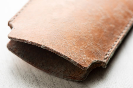 Mould on leather product. Leather care concept.