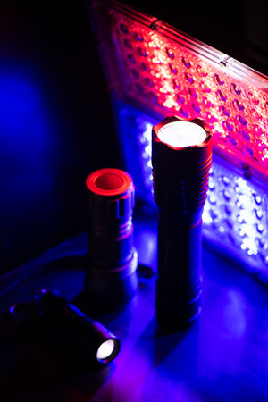 Black pocket flashlight for Everyday Carry (EDC).の写真素材