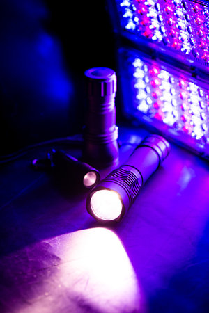 Black pocket flashlight for Everyday Carry (EDC).の写真素材
