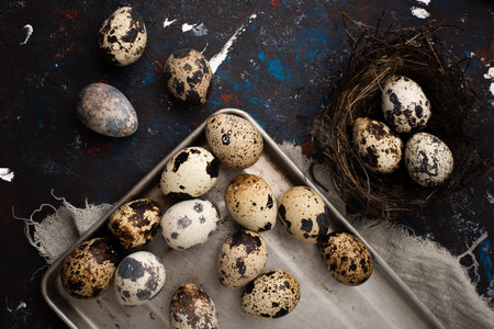 Close up fresh quail eggs, ingredient for cooking.の写真素材