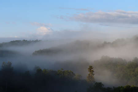Fogの写真素材
