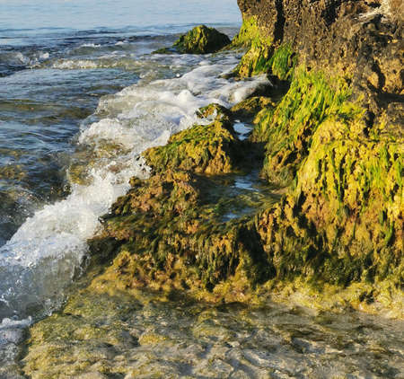 Coastの写真素材