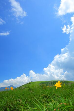 Plateau of summer in japanの写真素材