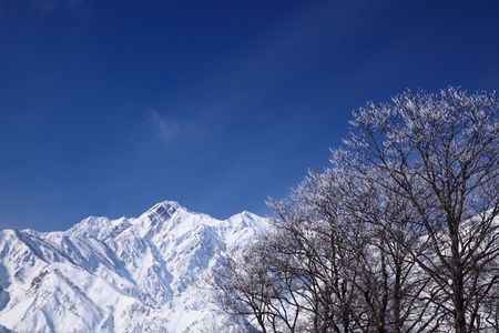 Mt  Goryudake, snow covered mountain in nagano japan