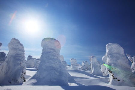 Snow monster on mount Zao, Yamagata Tohoku Japanの写真素材