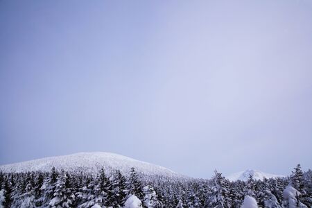 Soft rime on mount Zao, Yamagata Tohoku Japanの写真素材