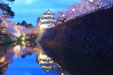 Light up of Hirosaki castle and cherry blossoms, Aomori, Japanのeditorial素材