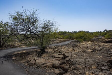 Kalahuipuaa Historic Park - Big Island of Hawaii -の写真素材