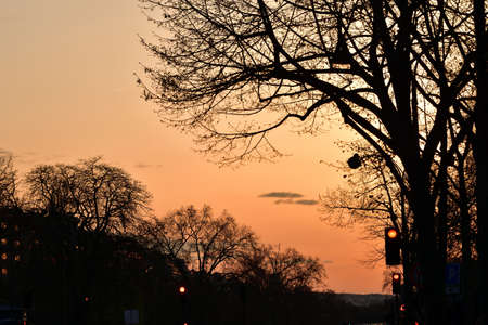 Paris, France. Avenue Foch at dusk. March 21, 2022.の写真素材
