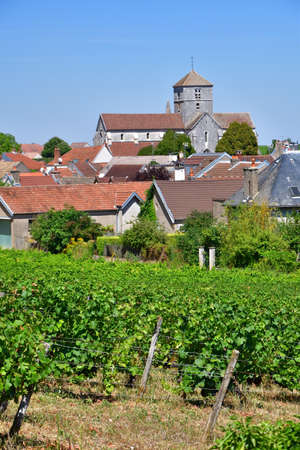 Burgundy, France. Vineyards of Nuits-Saint-Georges. August 9, 2022.の写真素材
