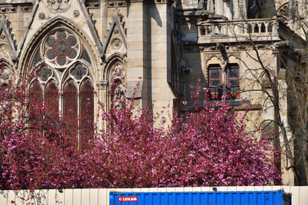 Paris, France. Notre Dame Cathedral under reconstruction. March 27, 2022.のeditorial素材
