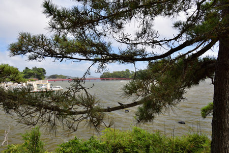 Matsushima, Miyagi Prefecture, Japan. View from Matsushima coast, beautiful islands. August 9, 2023.のeditorial素材