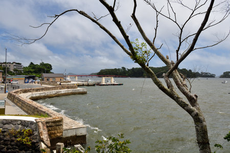Matsushima, Miyagi Prefecture, Japan. View from Matsushima coast, beautiful islands. August 9, 2023.のeditorial素材