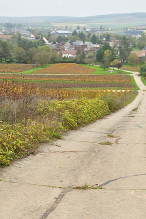 Sancerre, France. Post-Harvest Vineyard in Sancerre. November 3, 2024.の写真素材
