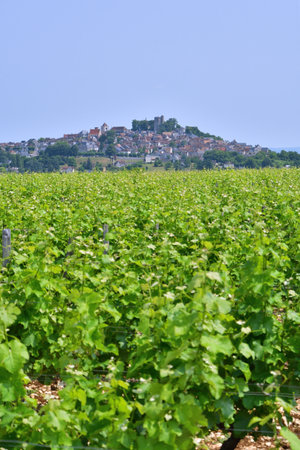 Sancerre Village on a Hill in France, Viewed from Afar â June 9, 2025の写真素材