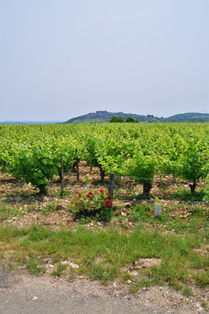 Sancerre Village on a Hill in France, Viewed from Afar â June 9, 2025の写真素材