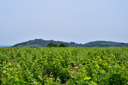 Sancerre Village on a Hill in France, Viewed from Afar â June 9, 2025の写真素材