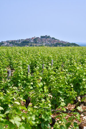 Sancerre Village on a Hill in France, Viewed from Afar â June 9, 2025の写真素材