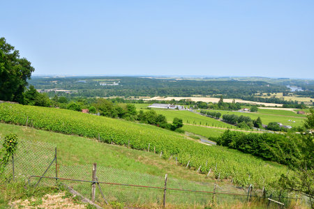 Sancerre, France. Vast Vineyards Spreading Across Sancerre â June 9, 2025の写真素材