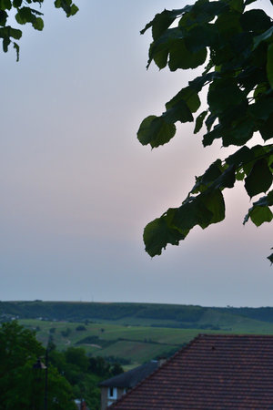 Sancerre, France. Vineyards at Sunset Viewed from a Hilltop. June 8, 2025.の写真素材
