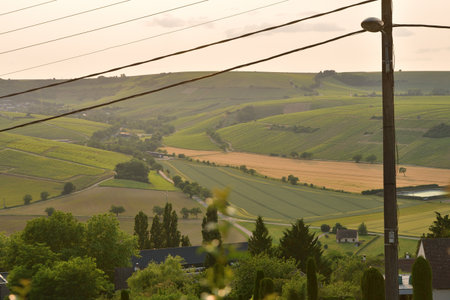 Sancerre, France. Vineyards at Sunset Viewed from a Hilltop. June 8, 2025.の写真素材