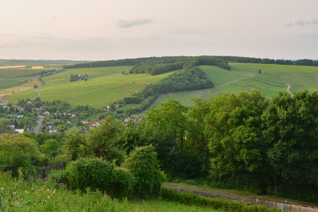 Sancerre, France. Vineyards at Sunset Viewed from a Hilltop. June 8, 2025.の写真素材