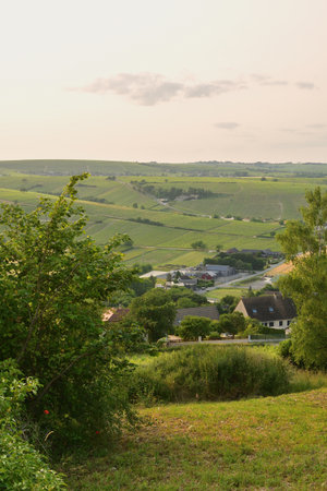 Sancerre, France. Vineyards at Sunset Viewed from a Hilltop. June 8, 2025.の写真素材