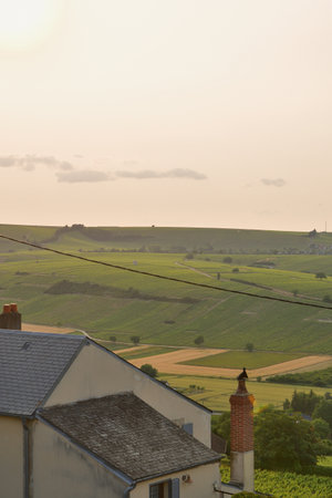 Sancerre, France. Vineyards at Sunset Viewed from a Hilltop. June 8, 2025.の写真素材