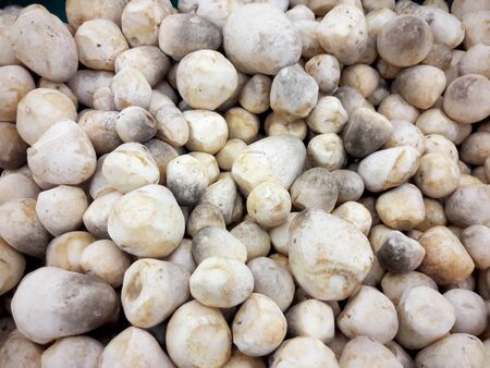Many straw mushrooms from supermarket is ingredient for cooking, Food conceptの写真素材
