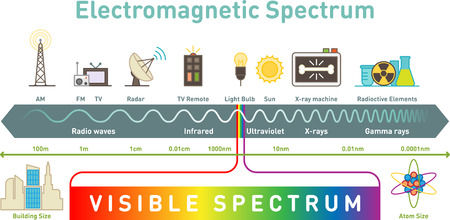 Electromagnetic spectrum infographic diagram, vector illustration.のイラスト素材