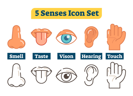 Five human body senses: smell, taste, vision, hearing, touch. Vector flat illustration icons.のイラスト素材